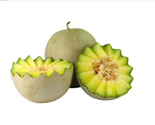 龙纹蜜瓜1.1kg±50g 商品图1