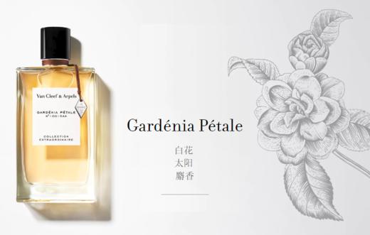 梵克雅宝（VAN CLEEF & ARPELS）非凡珍藏系列栀子花瓣香水 75ml 商品图1