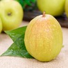 特级香梨 新鲜水果 1000g±50g 商品缩略图2
