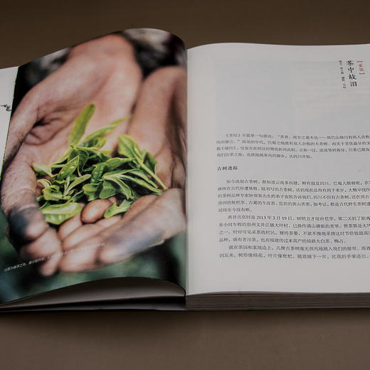 新民说   茶之路  《生活月刊》/著   茶 茶叶 茶师 茶农  历史 商品图2