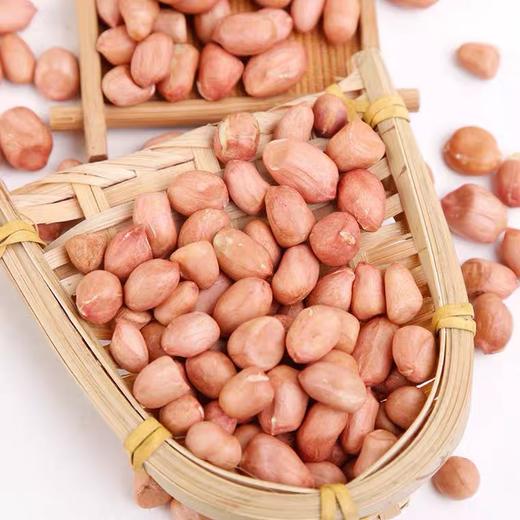 白皮花生 500g 商品图2