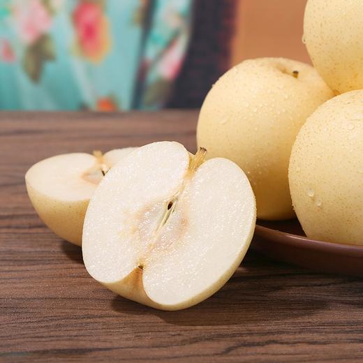 皇冠梨 新鲜水果 1000g±50g 商品图3
