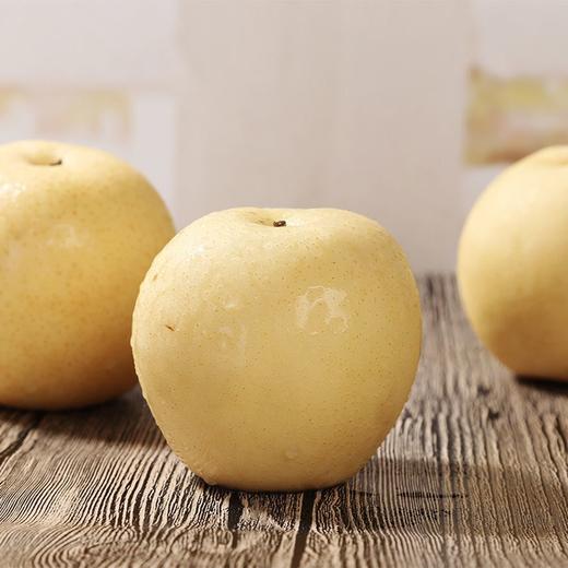 皇冠梨 新鲜水果 1000g±50g 商品图1