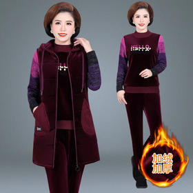 SP-HD229761休闲时尚洋气显瘦金丝绒套装