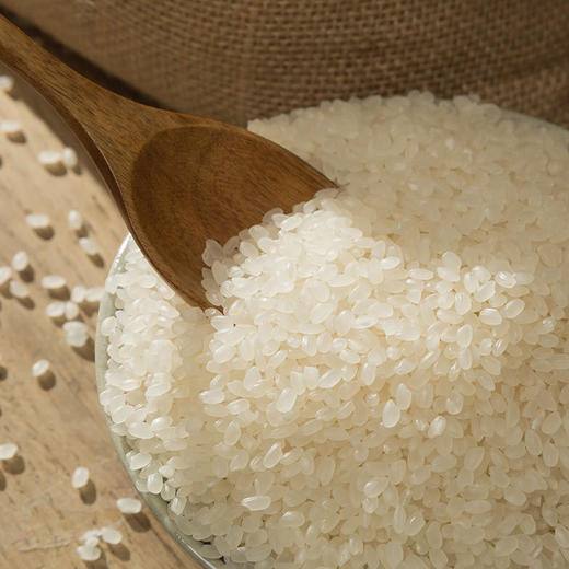 【寒地黑土】东北珍珠米 5斤/10斤包邮  圆粒 珍珠米 黑龙江 大米新米 东北特产 大米 香米 商品图2
