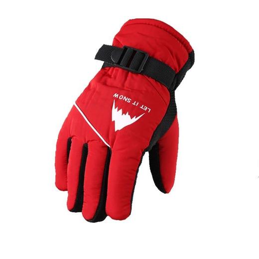 冬季保暖手套女户外骑行加绒加厚防风防水触屏骑车摩托车手套男士 商品图1