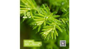 【花丘•心语】