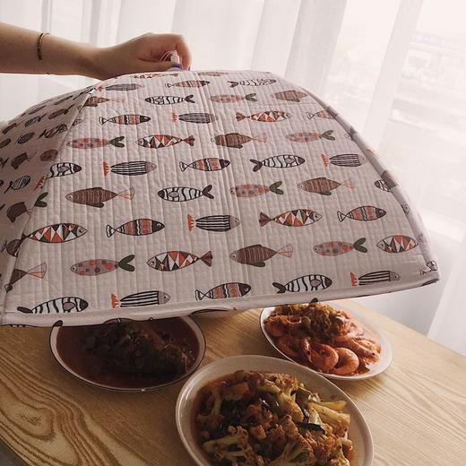 【大号70cm】厨房保温菜罩2个 商品图3