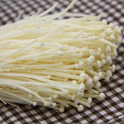 金针菇 袋装（蔬菜） 商品图5