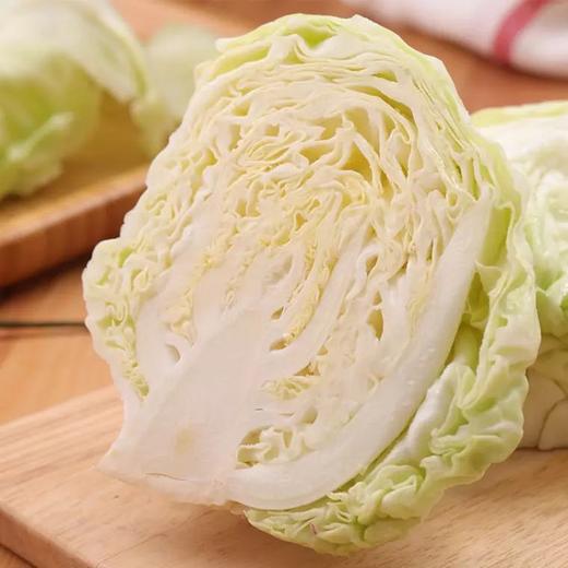 莲花白 900g-1100g （蔬菜） 商品图2