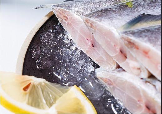 带鱼段 750g 商品图3