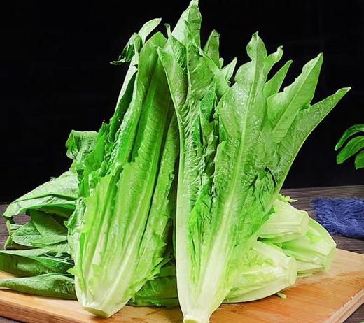 油麦菜 500g （蔬菜） 商品图2