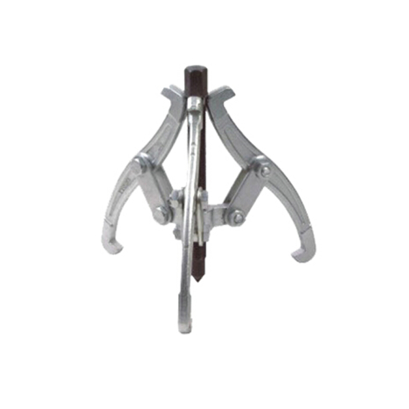 青海湖三爪拉马