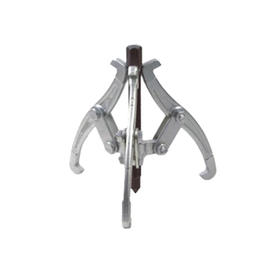 青海湖三爪拉马