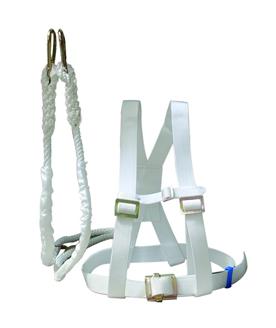 扬扬安全带 商品图0