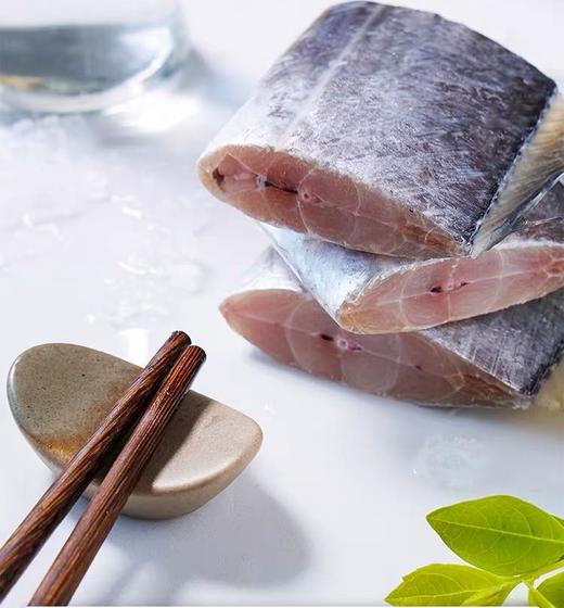 带鱼段 750g 商品图2