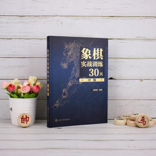 象棋实战训练30天 中级 刘锦祺 象棋棋谱入门书籍大全杀法残局开局中局盲棋记忆专项强化训练象棋战术精解分类战术提高书籍 商品图2