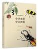 中国观赏甲虫图鉴 商品缩略图0