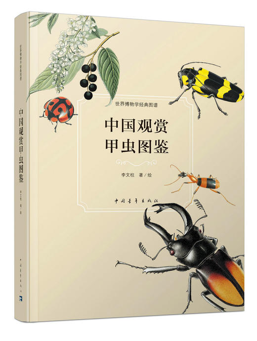 中国观赏甲虫图鉴 商品图0