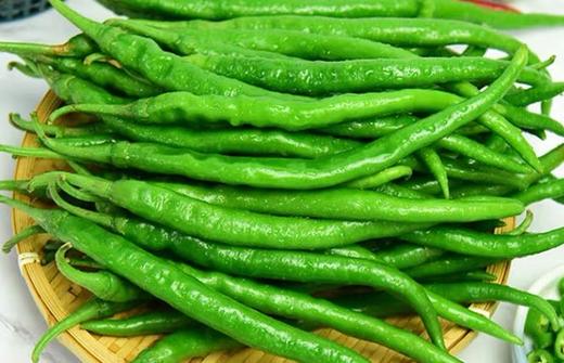 尖青椒 500g（蔬菜调味） 商品图2
