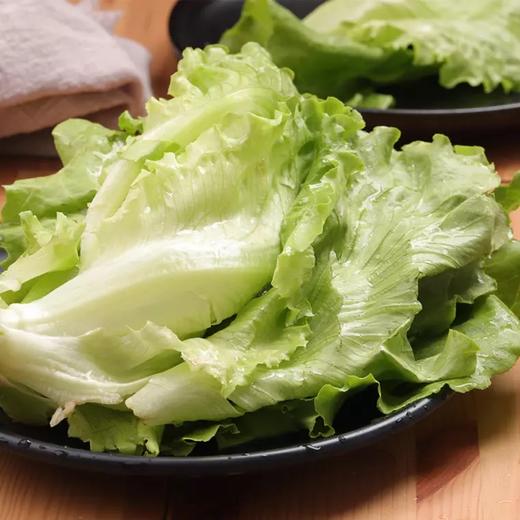 生菜 500g （蔬菜） 商品图7
