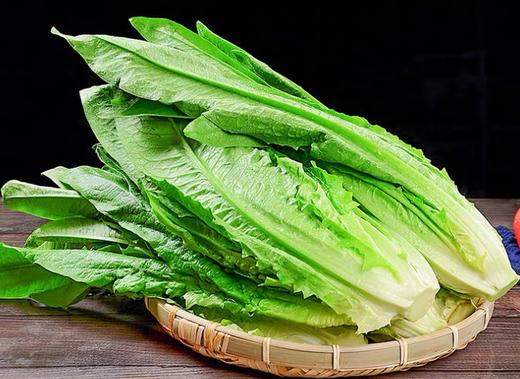 油麦菜 500g （蔬菜） 商品图4