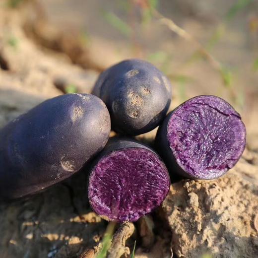 冰川黑土豆+红土豆+红薯 商品图0