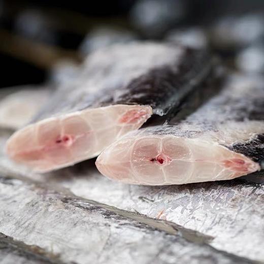 带鱼段 750g 商品图5