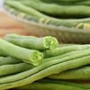 无筋豆 500g （蔬菜） 商品缩略图2