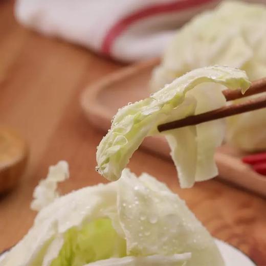 莲花白 900g-1100g （蔬菜） 商品图4