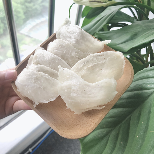 三角盏 印尼进口三角白燕盏