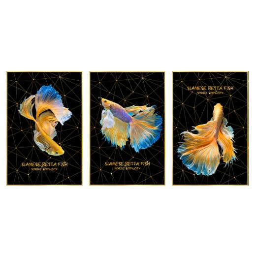 ZD·现代简约风格晶瓷画 商品图0