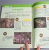 每天3分钟学会数理化（全4册）4大主题366个故事培养孩子的理科思维少儿科普 商品缩略图7