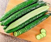 刺黄瓜 450g-550g （蔬菜） 商品缩略图1