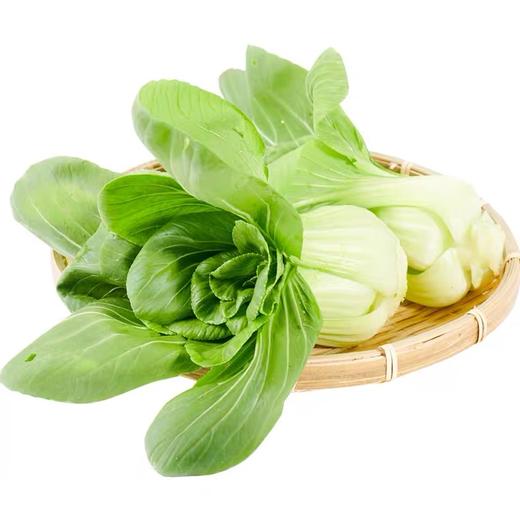 津白菜 250g （蔬菜） 商品图0
