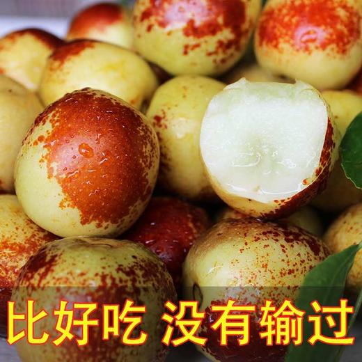 山西庙上‘’冬枣‘’ 【5斤装】当季鲜枣、鲜、甜、脆 商品图1