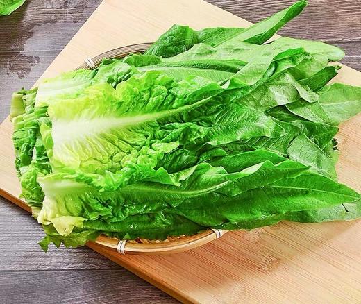 油麦菜 500g （蔬菜） 商品图5