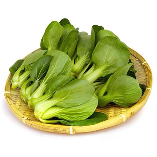 津白菜 250g （蔬菜） 商品图4