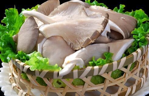 平菇 500g（蔬菜） 商品图1