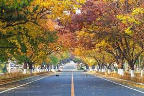  毕业旅行推荐 | 你想去的浪漫之都不在巴黎，而在《夏洛特烦恼》的取景地 