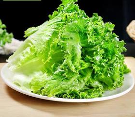 生菜 500g （蔬菜）