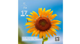 【花丘•心语】