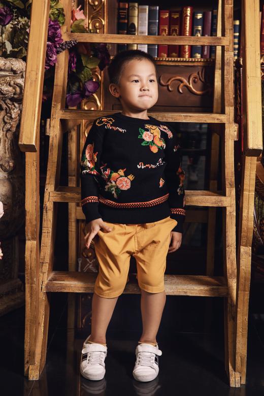 男童提花毛衫 商品图4