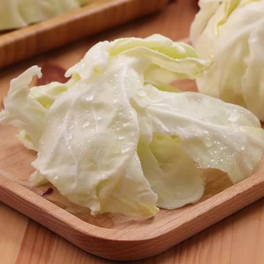 莲花白 900g-1100g （蔬菜） 商品图3