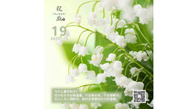 【花丘•心语】