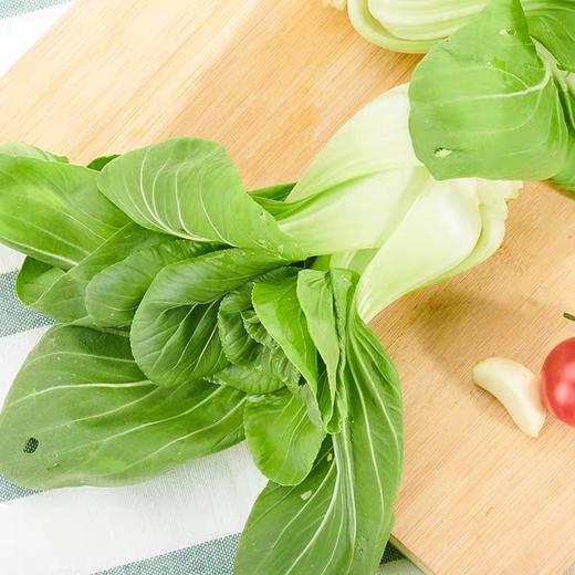 津白菜 250g （蔬菜） 商品图1