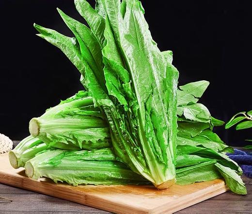 油麦菜 500g （蔬菜） 商品图1
