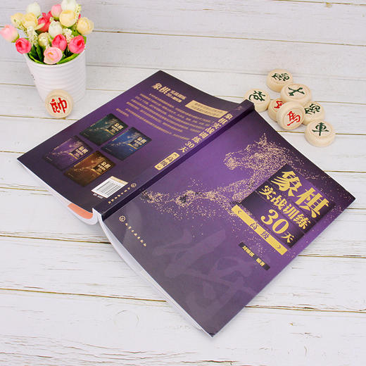 象棋实战训练30天 高级 刘锦祺 象棋棋谱入门书籍大全 杀法残局开局中局盲棋记忆专项强化训练 象棋战术精解分类战术提高书籍教材 商品图2