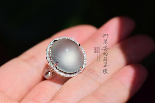 被留住的时光 商品图10