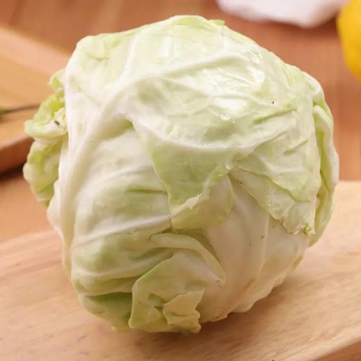 莲花白 900g-1100g （蔬菜） 商品图0